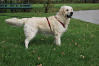frieda-15.jpg