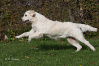 frieda-8.jpg