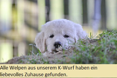 Wir erwarten unseren E-Wurf Anfang März 2016